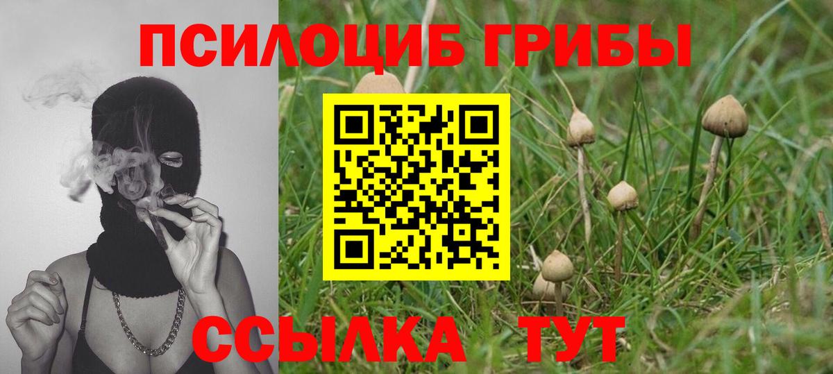 Псилоцибиновые грибы мицелий Кострома
