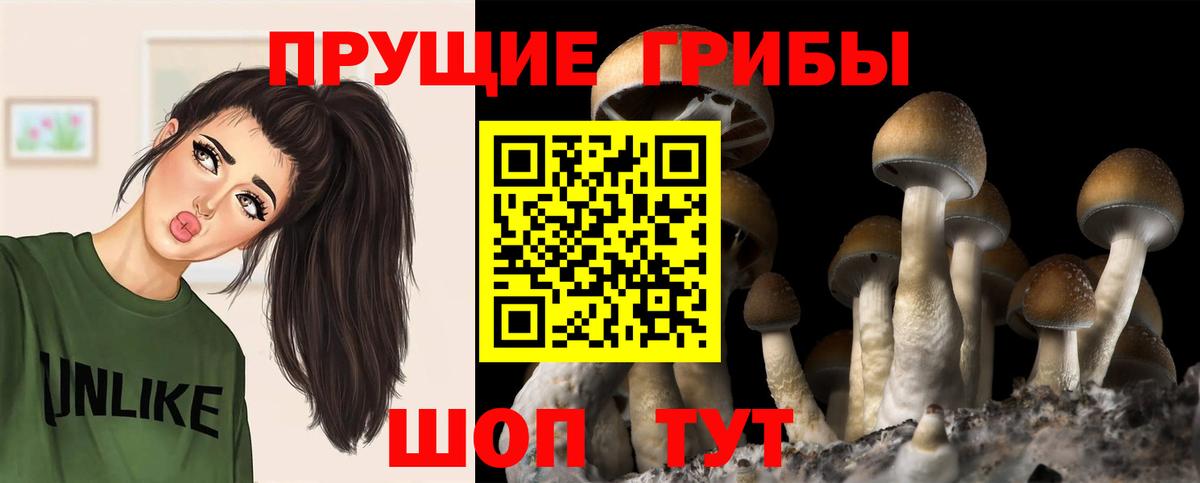 Кострома  Псилоцибиновые грибы GOLDEN TEACHER  Вход с VPN 